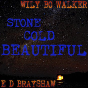 Wily Bo Walker & E D Brayshaw Storm Warning