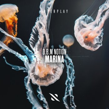 OBM Notion Marina (Extended Mix)
