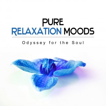 Relaxing Zen Music Ensemble Essential Oils