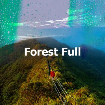 Исполнитель The Sounds of Earth Group, альбом Forest Full