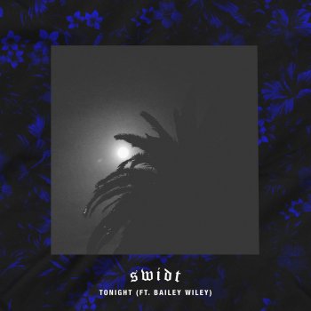 SWIDT feat. Bailey Wiley Tonight
