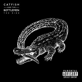 Catfish and the Bottlemen 7