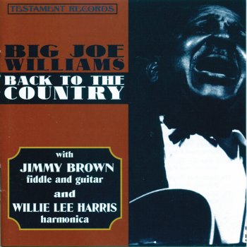 Big Joe Williams Shake Your Boogie