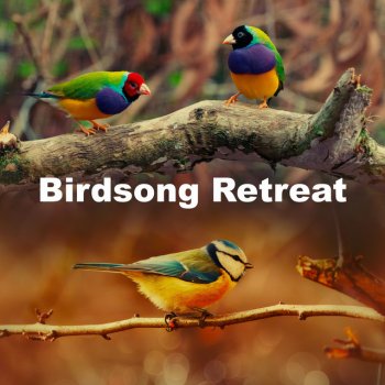 Birds 3AM Happy Glisten