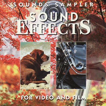 Sound Effects Tree Falling