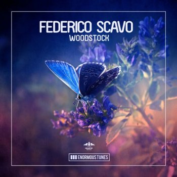 Federico Scavo Woodstock