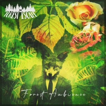 The Forest Escape Remote Forest