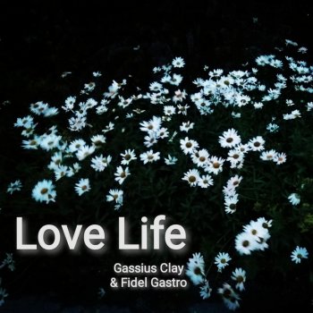 Gassius Clay Love Life