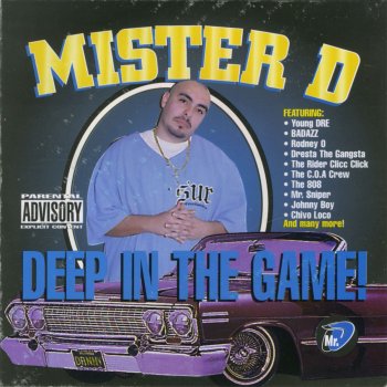 Mister D Valley Intro