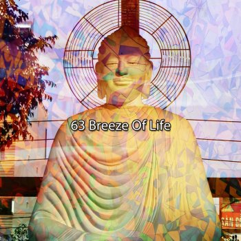 Zen Meditation Dream Your Dreams