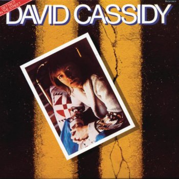 David Cassidy Junked Heart Blues