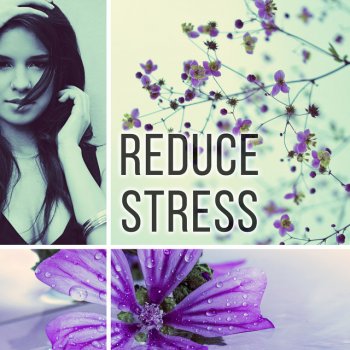 Anti Stress Music Zone Aromatherapy (Background Music)