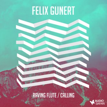 Felix Gunert Calling