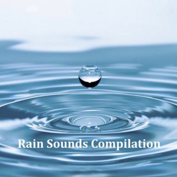 Rain Sounds feat. Nature Sounds Nature Music Winter Rain (Loopable, No Fade)