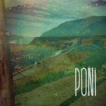 Poni L'œil du fauve