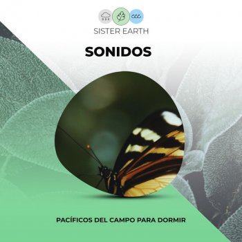 Naturaleza Sonidos Isla Pura