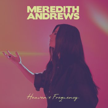 Meredith Andrews No Weapon