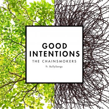 The Chainsmokers feat. BullySongs Good Intentions
