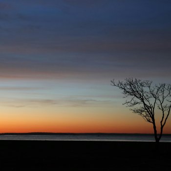 Исполнитель 2D, альбом Love