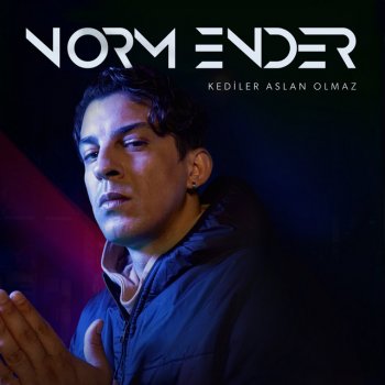 Norm Ender Kediler Aslan Olmaz