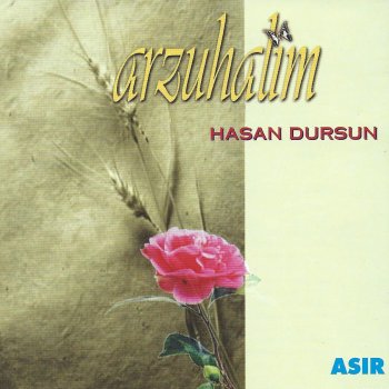 Hasan Dursun Anneciğim