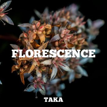 TAKA Florescence