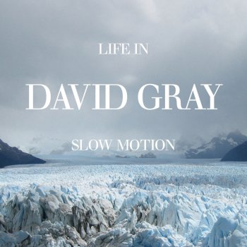 David Gray The One I Love