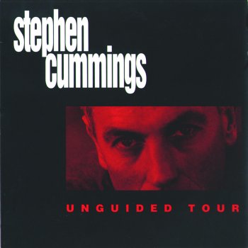 Stephen Cummings Two By Two