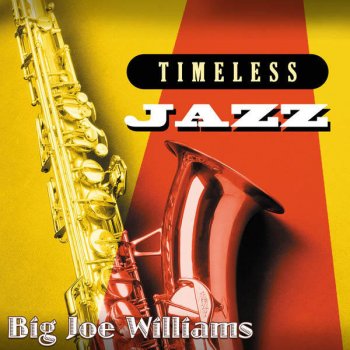 Big Joe Williams Ride In My Car Blues