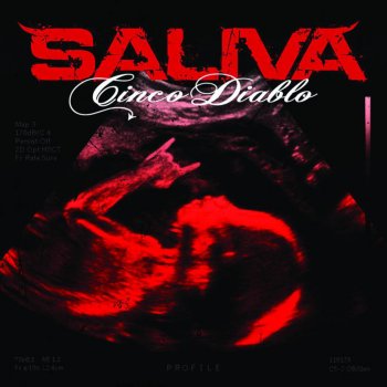 Saliva Judgement Day