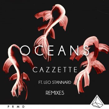 CAZZETTE feat. Leo Stannard Oceans