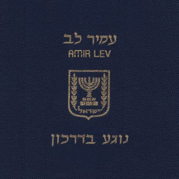 עמיר לב לאן עפים הברווזים