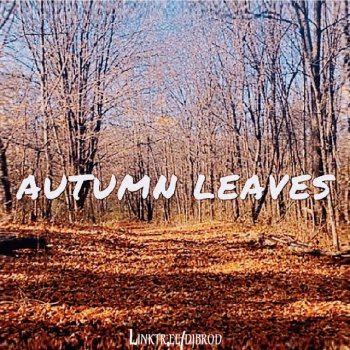 DJ BRO D AUTUMN LEAVES