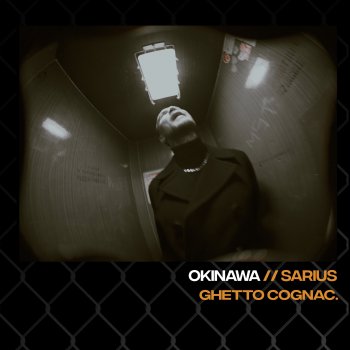 Исполнитель Sarius, альбом Okinawa (feat. ADZ) - Single