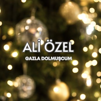 Исполнитель Ali Özel, альбом Gazla Dolmuşcum