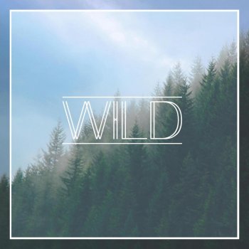 WILD Common Strangers