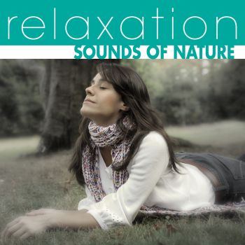 The Hit Crew Late Night Renewal