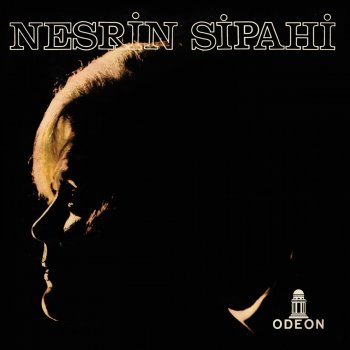 Nesrin Sipahi Araz Üste Buz Üste