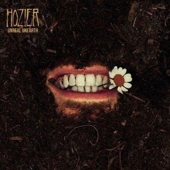 Hozier Too Sweet