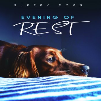 Sleepy Dogs & Relaxing Spa Music Horn Mist