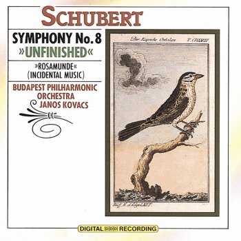 Franz Schubert Symphony No. 8 In B Minor, D 759 "Unfinished" - Allegro moderato