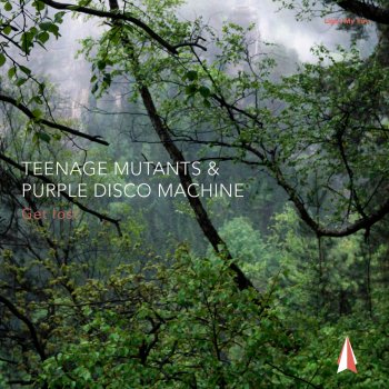 Исполнитель Teenage Mutants feat. Purple Disco Machine, альбом Get Lost