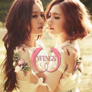 Wings Hair Short