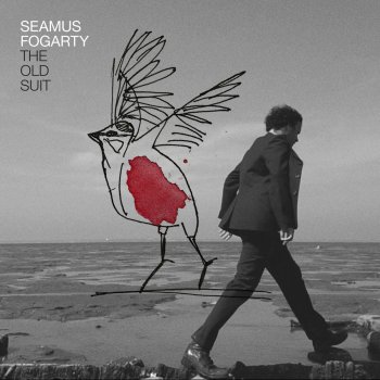 Seamus Fogarty The Old Suit