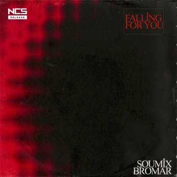 SouMix feat. Bromar Falling For You