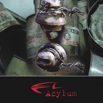 Acylum Friends With the Head Into the Wall