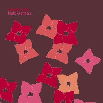 Исполнитель Square One, альбом Field Gentian