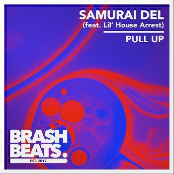 Samurai Del Pull Up