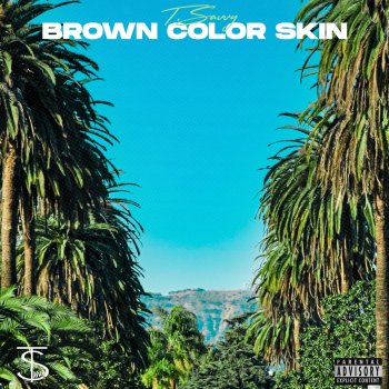 T.Savvy Brown Color Skin