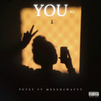 Petey You Pt.2 (feat. Meesh2wavvy)